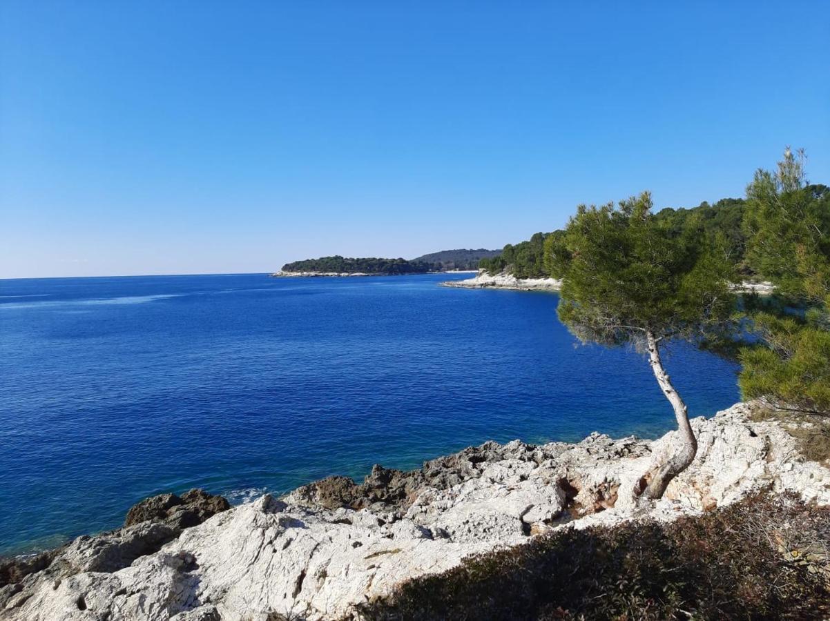 Apartman Sky Pula Bagian luar foto